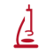 Tool Name Logo