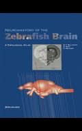 Neuroanatomy of the zebrafish brain: a topological atlas