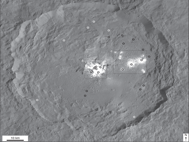 Recent cryovolcanic activity at Occator crater on Ceres