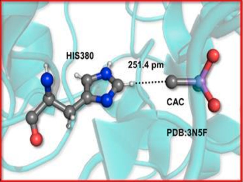First evidence for hydrogen bonds with tetravalent carbon atoms in proteins